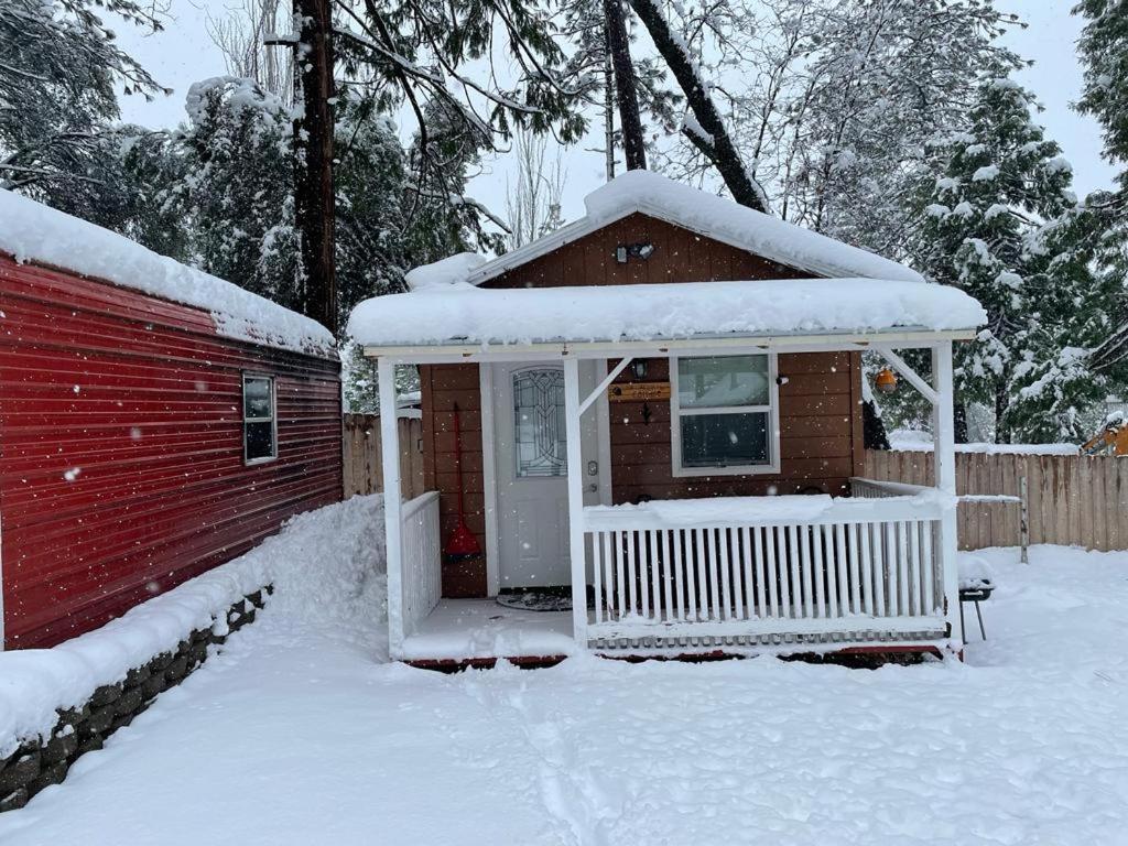 Acorn Cottage - Hidden Gem In Green Heaven, Getaway To Bass Lake & Yosemite آوكهيرست المظهر الخارجي الصورة
